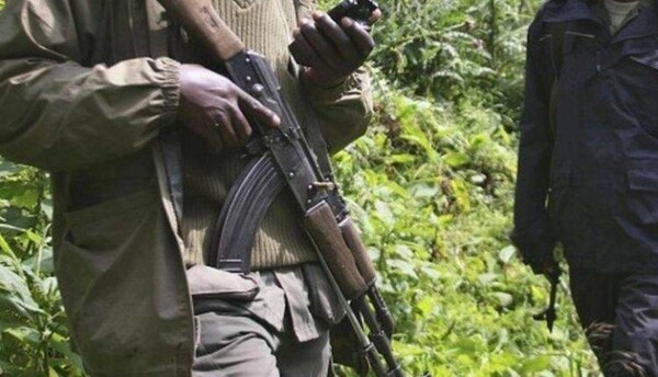 Вооруженная группа убивает десятки людей в нападениях на деревни на востоке Конго